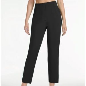 Express Pleated Dress Pants - Aritzia Dupe